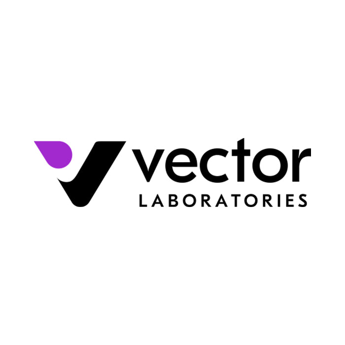 VECTOR