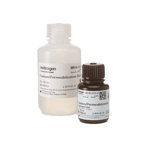 27357. FOXP3/CONCENTRADO Y DILUYENTE DE PERMEABILIZACION/FIJACION C/FACTOR DE TRANSCRIPCION KIT INVITROGEN