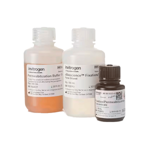27358. KIT DE BUFFER DE TINCION DE FACTOR DE TRANSCRIPCION/FOXP3 INVITROGEN