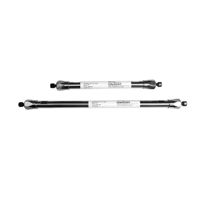 55569. COLUMNA ANALITICA MABPAC 2.1MM X 150MM, 5UM DE INTERCAMBIO IONICO THERMO SCIENTIFIC
