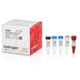 31022. SUPERSCRIPT III PLATINUM ONE STEP QRT-PCR KIT 100 REACTIONS INVITROGEN