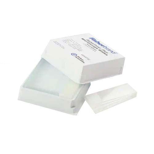 22348. PORTAOBJETOS 25X75MM SUPERFROST PLUS CON SUPERFICIE BLANCA P/ETIQUETAR PAQUETE C/72 PIEZAS