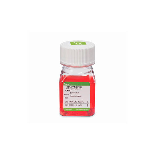53702. ENZIMA EXPRESS (1X) ROJO FENOL TRYPLE 5LT GIBCO