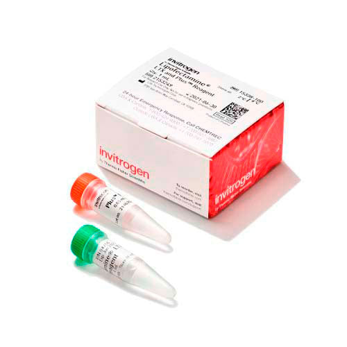 55728. REACTIVO LIPOFECTAMINA LTX C/REACTIVO PLUS 1ML - INVITROGEN