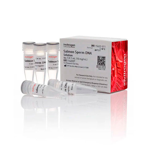 31507. ULTRAPURE SALMON SPERM DNA SOLUTION 5 X 1ML INVITROGEN