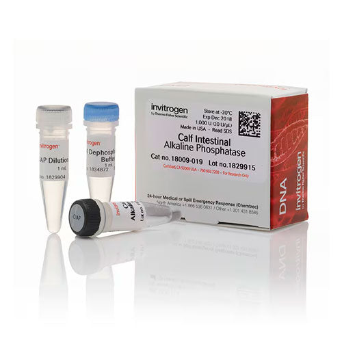 31031. CIAP (FOSFATASA ALCALINA INTESTINAL DE TERNERA) 20U/UL 1000U INVITROGEN