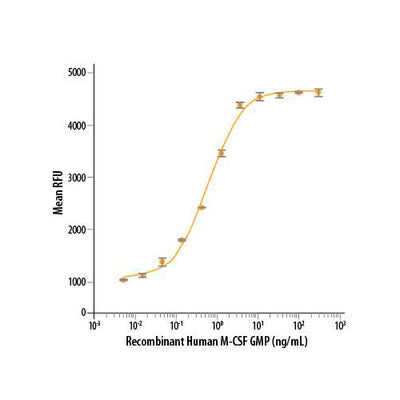 55956. RECOMBINANT HUMAN M-CSF GMP PROTEIN CF 25UG R&D SYSTEMS
