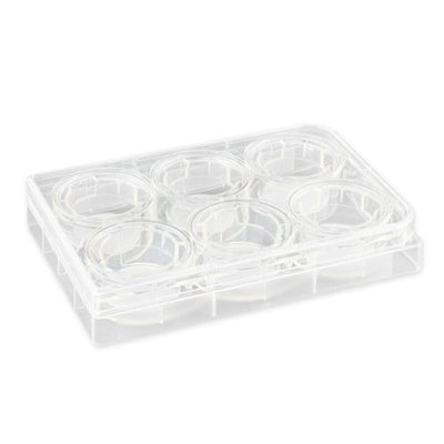 52015. INSERTO DE MEMBRANA DE POLICARBONATO 24MM, 0.4UM, TRATADA, ESTERIL TRANSWELL C/6 - CORNING