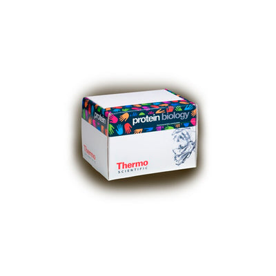 53349. BUFFER WESTERN BLOT TRANSFER LIBRE DE METANOL 10X 5LT - PIERCE