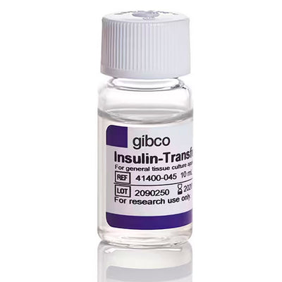 53643. INSULINA-TRANSFERRINA-SELENIO (ITS-G) (100X) 10ML GIBCO