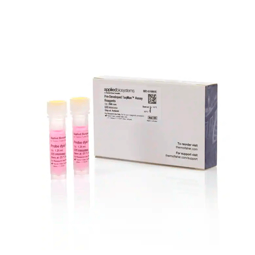 55696. CONTROL ENDOGENO DE GAPD HUMANO (GAPDH) (SONDA VIC/TAMRA CEBADOR LIMITADO) 2500 REACCIONES APPLIED BIOSYSTEMS