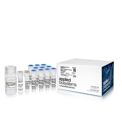 50443. KIT DE SECUENCIACION DE CICLOS BIGDYE TERMINATOR 1000 REACCIONES - APPLIED BIOSYSTEMS