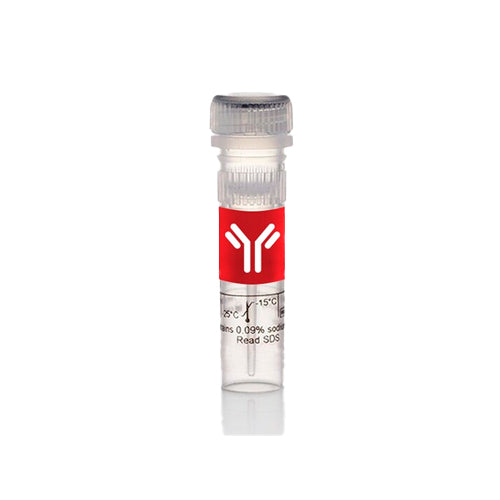 53243. F(AB') 2 PREPARATION KIT - PIERCE