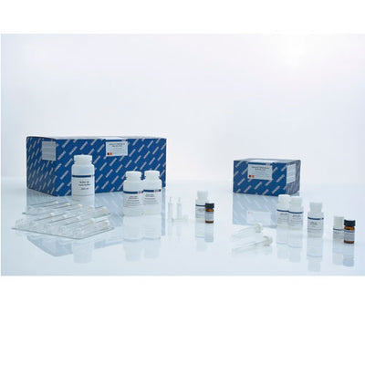 53887. KIT MIDI DE SANGRE QIAAMP DNA 100 PREPS QIAGEN