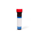 22388. PE MOUSE ANTI-BCL-6 CLONE K112-91(RUO) 50 TESTS BD PHARMINGEN
