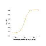 30036. RECOMBINANT MOUSE IL-36 GAMMA/IL-1F9 (AA 13-164) PROTEIN, CF, 10UG, R&D SYSTEMS