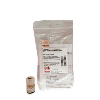 52890. PERLAS MAGNETICAS ACTIVADAS C/NHS 5ML - PIERCE