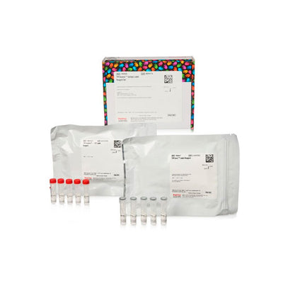 53304. JUEGO DE REACTIVOS DE ETIQUETA ISOTOPICA TMTDUPLEX 5 X 0.8MG - PIERCE