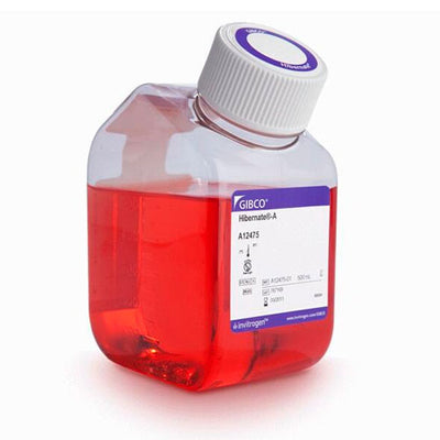 53637. MEDIO HIBERNATE-A 500ML GIBCO