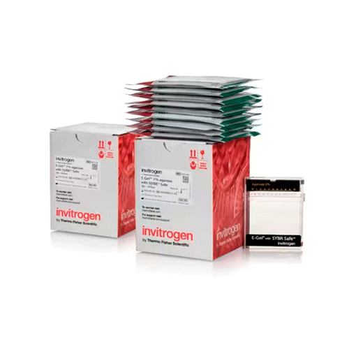 27360. GEL DE AGAROSA E-GEL C/SYBR SAFE DNA GEL STAIN 2% 2 X 10 GELES INVITROGEN