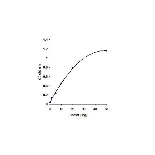 55759. DNMT ACTIVITY QUANTIFICATION KIT (COLORIMETRIC) 96 TESTS ABCAM