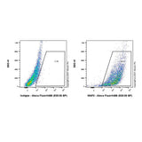 29458. RECOMBINANT ANTI-MAP2 ANTIBODY (EPR19691) 100UL ABCAM