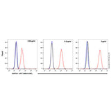 29483. RECOMBINANT APC RABBIT IGG, MONOCLONAL (EPR25A)-ISOTYPE CONTROL 100UL ABCAM