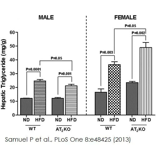 27955. TRYGLYCERIDE ASSAY KITQUANTIFICATION 100 TESTS ABCAM CTR