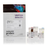 31115. KIT DE ENSAYO DE CITOMETRIA DE FLUJO CELLROX DEEP RED 100 ENSAYOS INVITROGEN