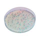 50449. E. COLI P/DETECCION Y ENUMERACION 5000ML - CHROMAGAR