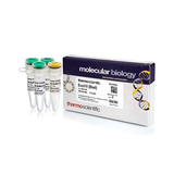 27592. ENZIMA DE RESTRICCION ECO31I (BSAI) (10U/UL) 1000U THERMO SCIENTIFIC