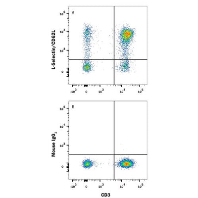30013. HUMAN L-SELECTIN/CD62L ALEXA FLUOR 488-CONJUGATED ANTIBODY 100 TESTS R&D SYSTEMS