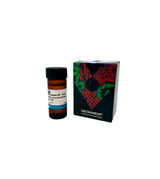 5264. VECTASHIELD PLUS ANTIFADE MOUNTING MEDIUM WITH DAPI 10ML - VECTOR