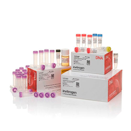 53771. KIT TOPO TA CLONING P/SUBCLONACION C/TOPO10 E. COLI 25 REACCIONES INVITROGEN