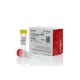 3817. REACTIVO PARA TRANSFECCION LIPOFECTAMINE 3000 0.1ML - INVITROGEN