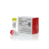 3819. REACTIVO PARA TRANSFECCION LIPOFECTAMINE 3000 1.5ML - INVITROGEN