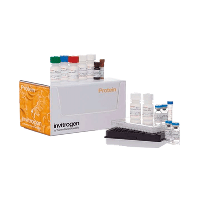 55462. CYTOKINE 10-PLEX HUMAN PANEL 100 TESTS INVITROGEN