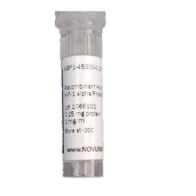 51407. RECOMBINANT HUMAN HIF-1 ALPHA PROTEIN 0.25MG - NOVUS BIOLOGICALS