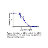 28832. LACTATE DEHYLACTATE DEHYDROGENASE A INHIBITOR SCREENING ASSAY KIT (COLORIMETRIC) 100 ASSAYS NOVUS BIOLOGICALS