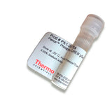 23404. PHOSPO-CREB PSER129/133 ANTIBODY 50UL PIERCE