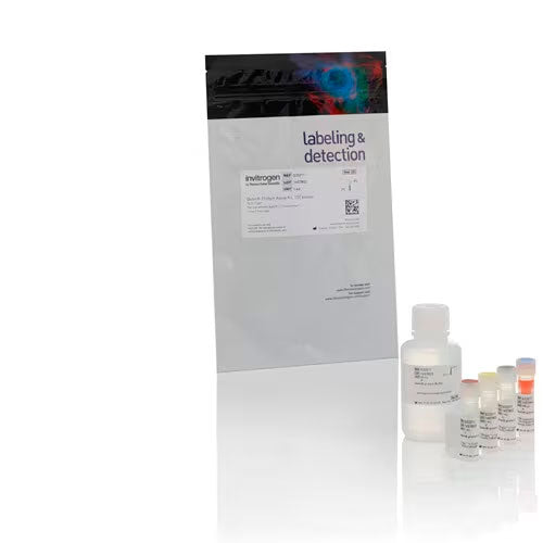 29635. KIT DE ENSAYO DE AMPLIO RANGO (BR) DE PROTEINAS QUBIT 100 REACCIONES INVITROGEN
