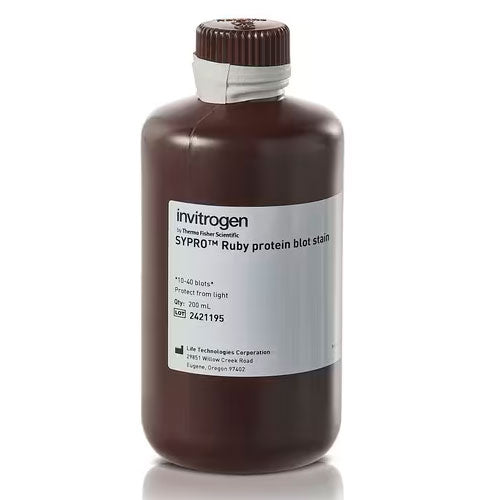 29641. TINCION P/BLOT DE PROTEINAS SYPRO RUBY 200ML INVITROGEN