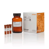 27385. KIT DE SOLUCION IBIND FLEX 4 KITS INVITROGEN