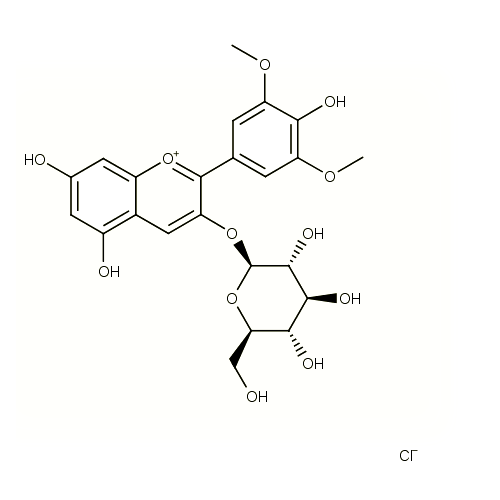 18538. STD OENIN CHLORIDE 10MG - EXTRASYNTHESE