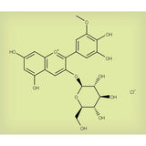 26099. STD CLORURO DE PETUNIDINA-3-O-GLUCOSIDO 5MG EXTRASYNTHESE