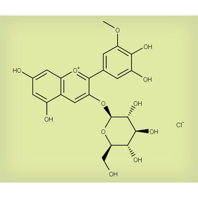 26099. STD CLORURO DE PETUNIDINA-3-O-GLUCOSIDO 5MG EXTRASYNTHESE