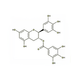 17961. STD (-)-GALLOCATECHIN GALLATE 98% 10MG - EXTRASYNTHESE