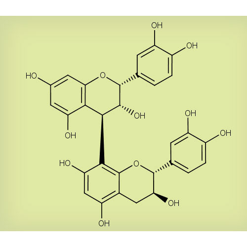 26100. STD PROCIANIDINA B1, 5MG EXTRASYNTHESE