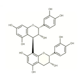 17975. STD PROCYANIDIN B2 5MG - EXTRASYNTHESE