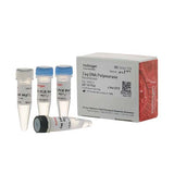 55456. TAQ DNA POLYMERASE RECOMBINANT 5000 UNITS - INVITROGEN